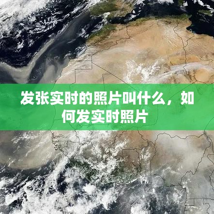 第1219页