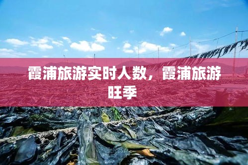 霞浦旅游实时人数，霞浦旅游旺季 