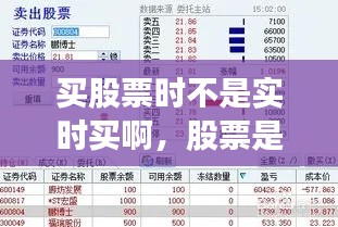 第1213页