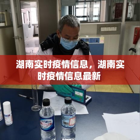 湖南实时疫情信息，湖南实时疫情信息最新 