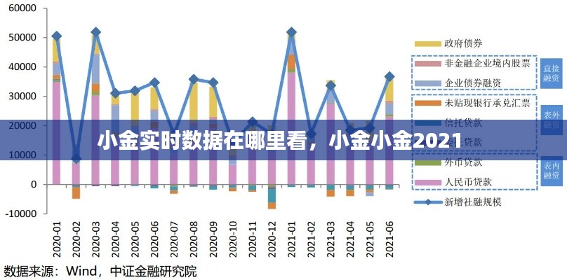 小金实时数据在哪里看，小金小金2021 