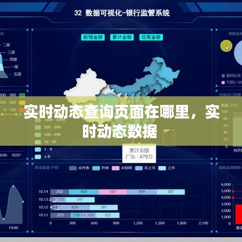 实时动态查询页面在哪里，实时动态数据 