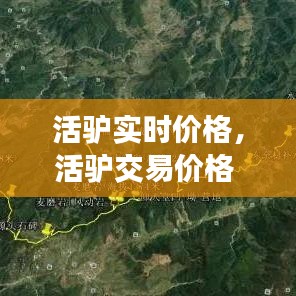 活驴实时价格，活驴交易价格 