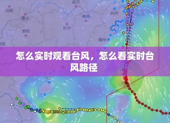 怎么实时观看台风，怎么看实时台风路径 