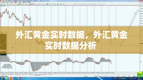 第1166页