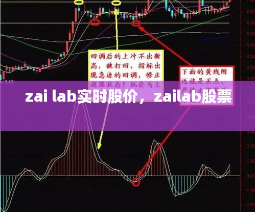 客户反馈 第144页