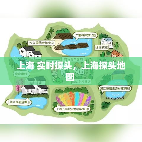 上海 实时探头，上海探头地图 
