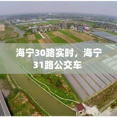 海宁30路实时，海宁31路公交车 