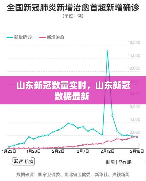 山东新冠数量实时，山东新冠数据最新 
