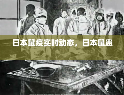 淡泊以明志，宁静以致远 第2页