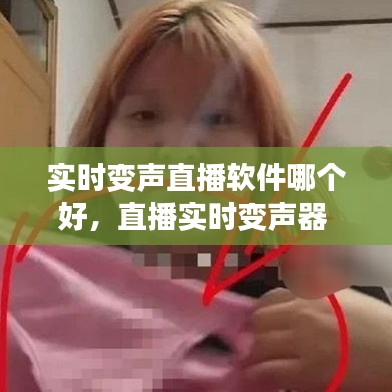 实时变声直播软件哪个好，直播实时变声器 