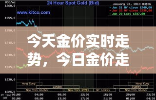 今天金价实时走势，今日金价走势力 