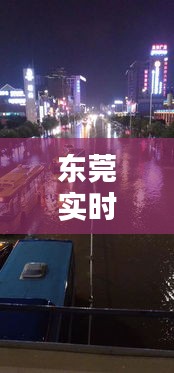百不获一 第2页