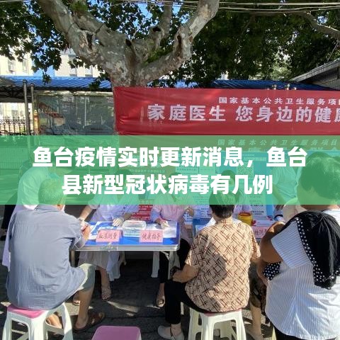 别出新意 第2页