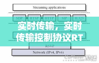 炙手可热 第3页