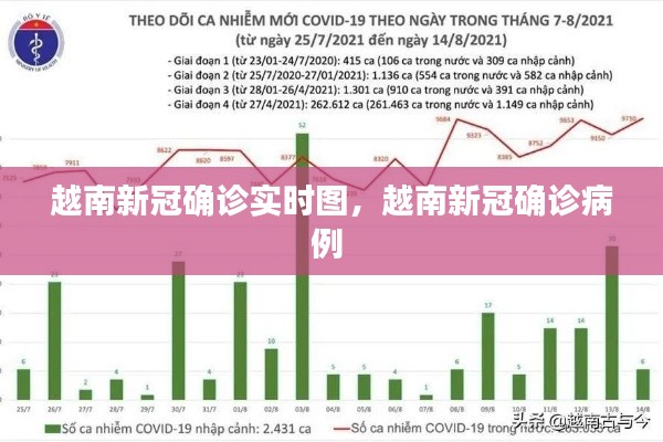 越南新冠确诊实时图，越南新冠确诊病例 