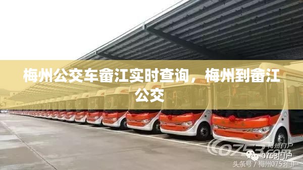 梅州公交车畲江实时查询，梅州到畲江公交 