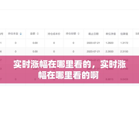 实时涨幅在哪里看的，实时涨幅在哪里看的啊 