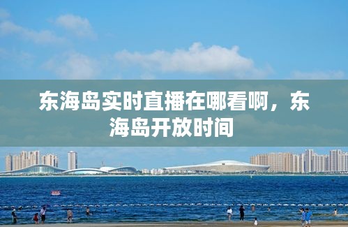 东海岛实时直播在哪看啊，东海岛开放时间 