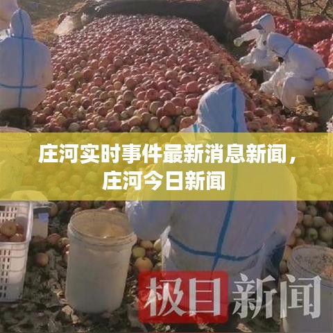 庄河实时事件最新消息新闻，庄河今日新闻 