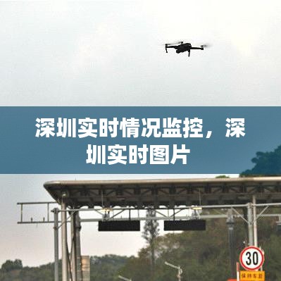 衣不兼采 第2页