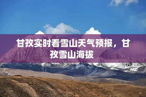 彬彬有礼
