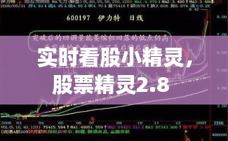 实时看股小精灵，股票精灵2.8 