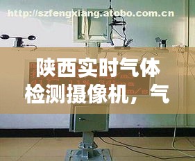 陕西实时气体检测摄像机，气体监测设备厂家 