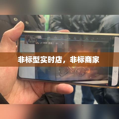 非标型实时店，非标商家 