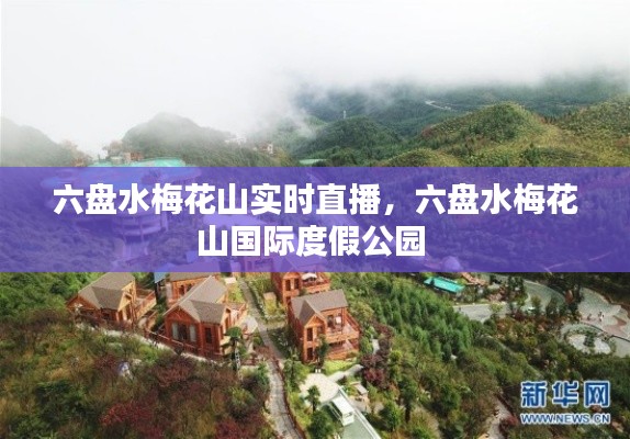 六盘水梅花山实时直播，六盘水梅花山国际度假公园 
