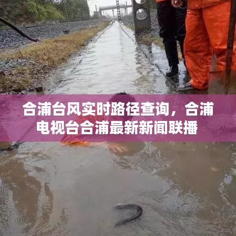 合浦台风实时路径查询，合浦电视台合浦最新新闻联播 