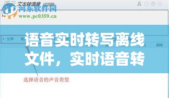 语音实时转写离线文件，实时语音转文本软件 