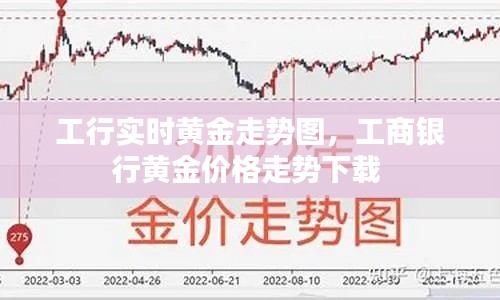 工行实时黄金走势图，工商银行黄金价格走势下载 