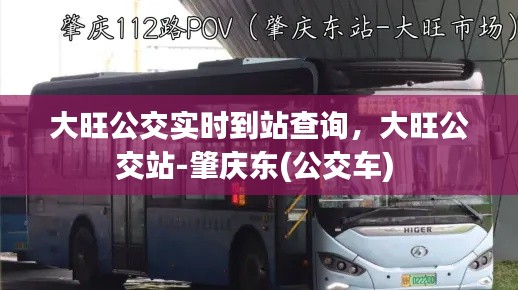 大旺公交实时到站查询，大旺公交站-肇庆东(公交车) 