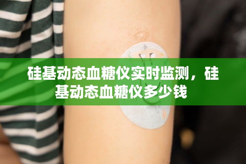 硅基动态血糖仪实时监测，硅基动态血糖仪多少钱 