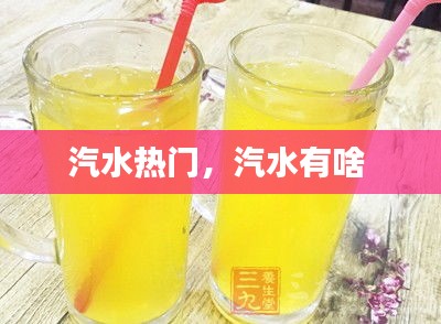 汽水热门，汽水有啥 