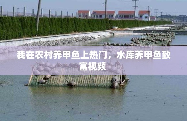 萍水相逢 第2页
