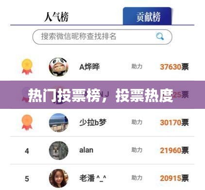 热门投票榜，投票热度 