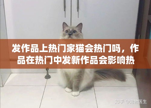 发作品上热门家猫会热门吗，作品在热门中发新作品会影响热门作品吗? 