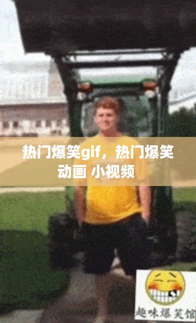 热门爆笑gif，热门爆笑动画 小视频 