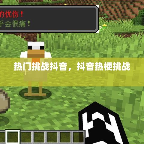 热门挑战抖音，抖音热梗挑战 