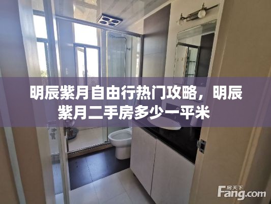 明辰紫月自由行热门攻略，明辰紫月二手房多少一平米 