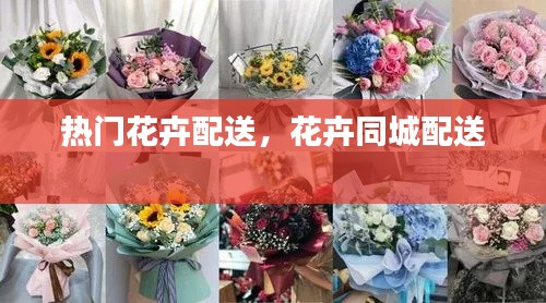 热门花卉配送，花卉同城配送 