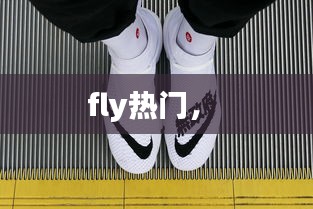 fly热门， 