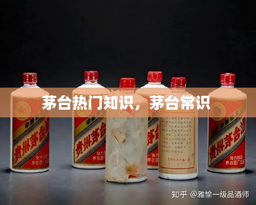 茅台热门知识，茅台常识 
