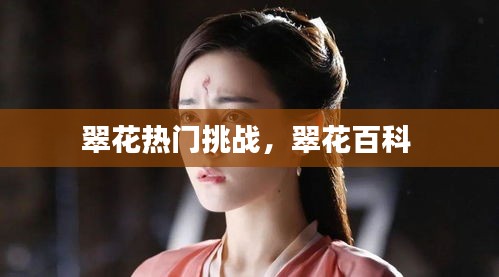 翠花热门挑战，翠花百科 