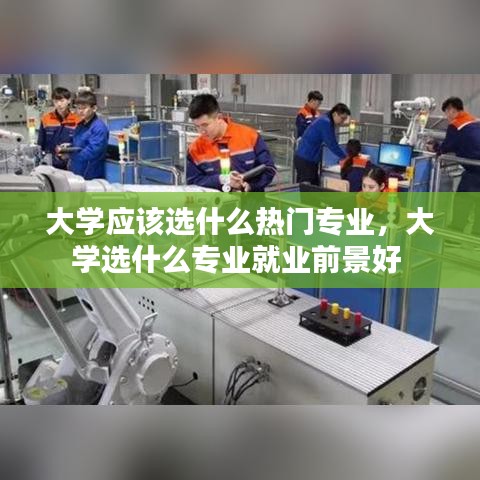 大学应该选什么热门专业，大学选什么专业就业前景好 