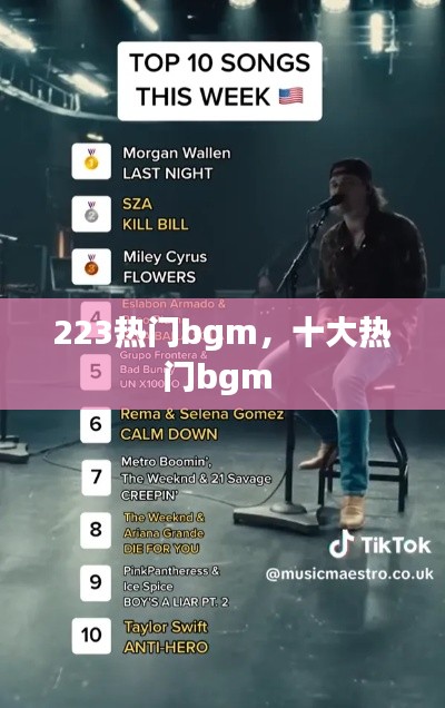 223热门bgm，十大热门bgm 