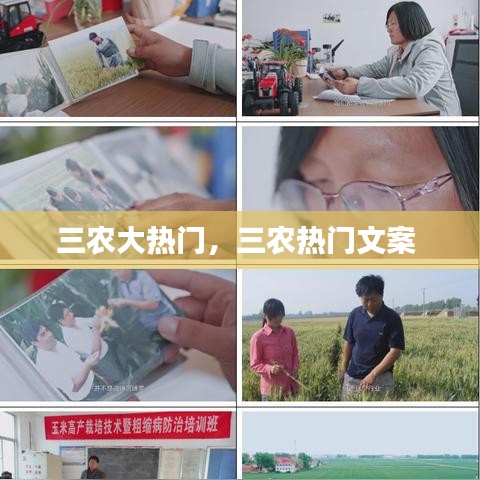 三农大热门，三农热门文案 