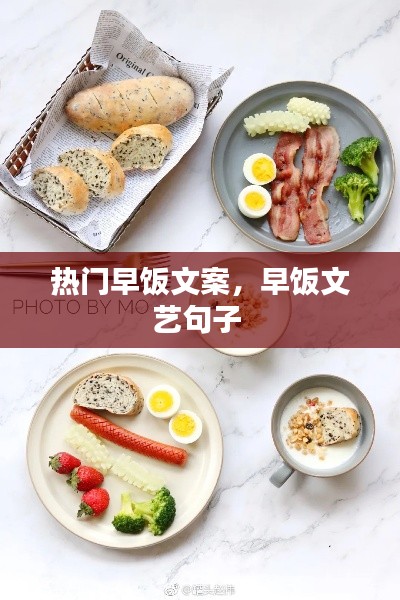 案例中心 第102页